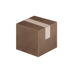 EXPRESS SHIPPING